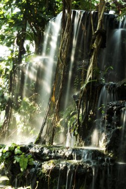 Bir şelalenin gölgeliği ile parlayan güneş