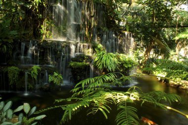 şelale manzarası Changmai Tayland