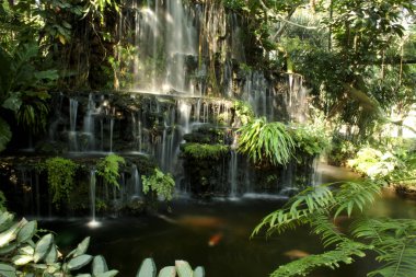 şelale Changmai Tayland