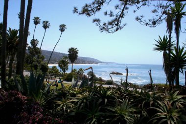 Çiçekli tropikal park Laguna Plajı