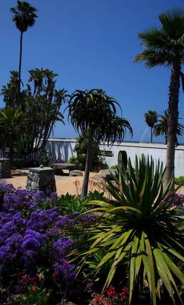 Çiçekli tropikal park Laguna Plajı