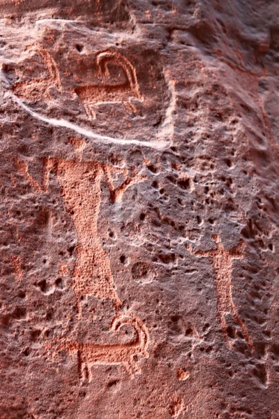 Paintings on red rocks in the valley on Wadi Rum desert in Jordan