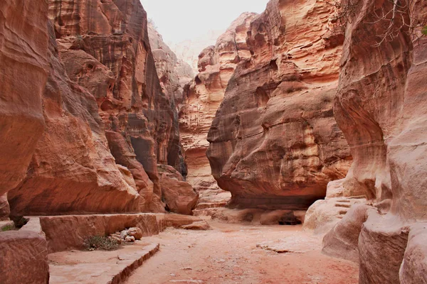 Siq - antik Nabatean city Petra gorge yüksek kırmızı dev kayalar arasında geniş yolu ile dar giriş.