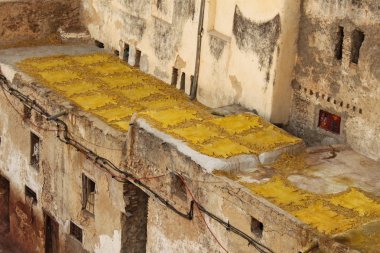 Sarı deri üzerinde güneşte kurutma. Fez geleneksel tabakhane içinde safran deri sarı renkle boya için kullandıkları.