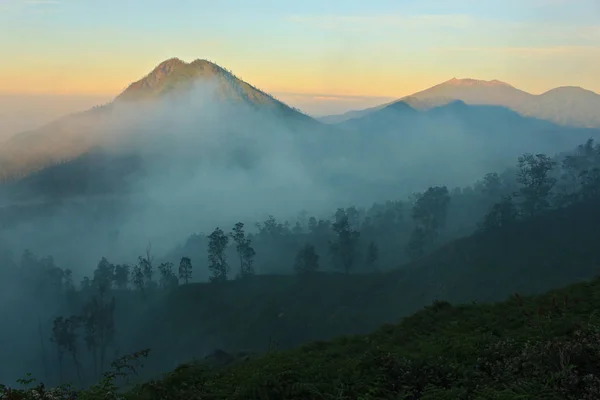 在伊珍火山徒步旅行时的山脉 选秀权和树木周围的日出和薄雾 — 图库照片