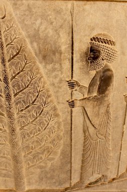 Persepolis antik şehir bir duvar kabartması
