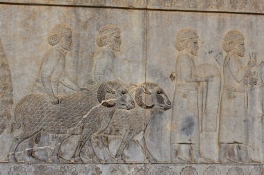 Antik kentin Persepolis duvarda kabartma