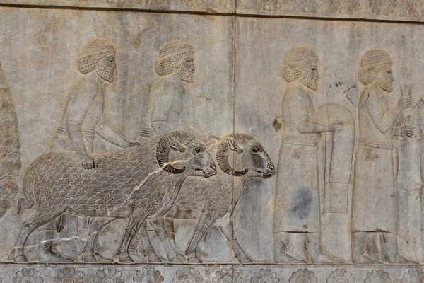 Relief Auf Einer Mauer Der Antiken Stadt Persepolis — Stockfoto