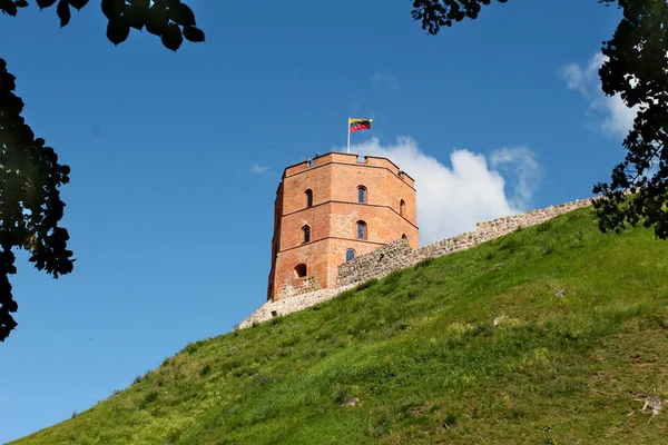 Şafak Tower üstüne Litvanya bayrağı ile yeşil tepe üzerinde. Tarihi kule kırmızı tuğla yapılır.
