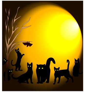 kedi; tatil; siyah; Cadılar Bayramı