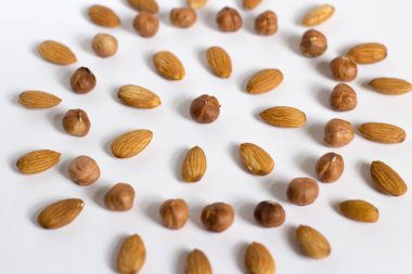 avuç fındık beyaz bir arka plan, badem ve fındık