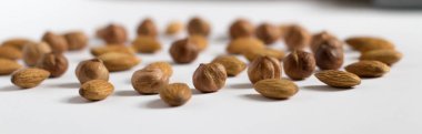 avuç fındık beyaz bir arka plan, badem ve fındık