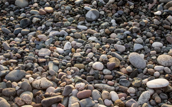 Textura Piedra Gris Playa Piedras Pequeñas —  Fotos de Stock
