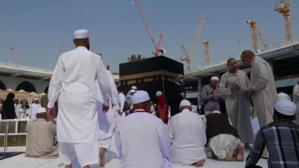 メッカ サウジアラビア 2016年 イスラム教の巡礼者と祈るし Masjidil ハラーム メッカのカーバ神殿をタワーフします 世界中のイスラム教徒の祈りの時間の間に カーバ神殿に直面します — ストック動画