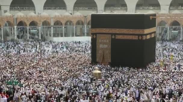 Uma Filmagem Rápida Peregrinos Muçulmanos Circundando Kaabah Sentido Horário Sete — Vídeo de Stock