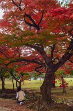 Nara nara geyik parkında kimliği belirsiz kadın, Retro f ile Japonya