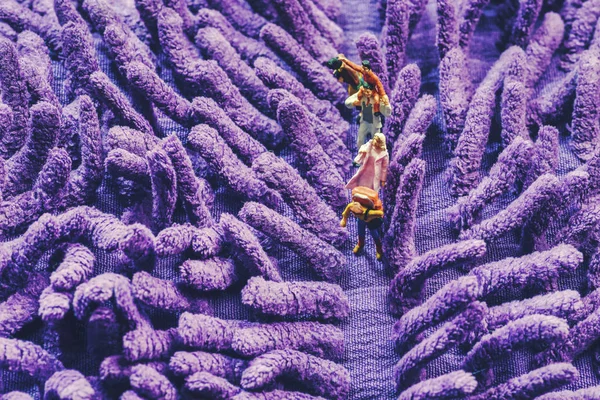 Miniaturspielzeug von Fotograf, Backpacker und Familie beim Fotografieren des lila Lavendelkonzepts. — Stockfoto