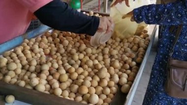 Güney Doğu Asya'da egzotik bir meyve 'duku'(Lansium domesticum), satan yerel bir meyve tezgahında iki Müslüman kadın.