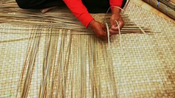 マレーシアのテレンガヌで 熟練した老女の手織りマットのクローズアップショット 天然植物の葉から作られたマットは 様々な色とサイズで来ます — ストック動画