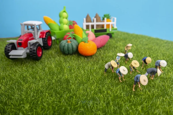 Miniature toys studio set up - Top view of manual labourers pick — Stock Photo, Image