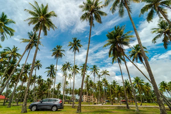 Unidentified Sports Utility Vehicle Suv Parked Coconut Trees Tropical Setting — Stock Photo, Image