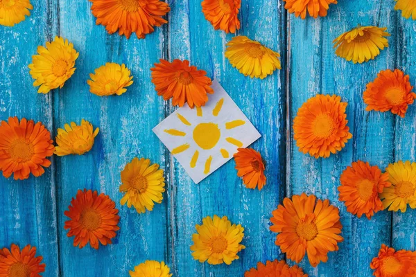 Marigold Texture Fleurs Vives Sur Fond Bois Bleu Concept Pour — Photo
