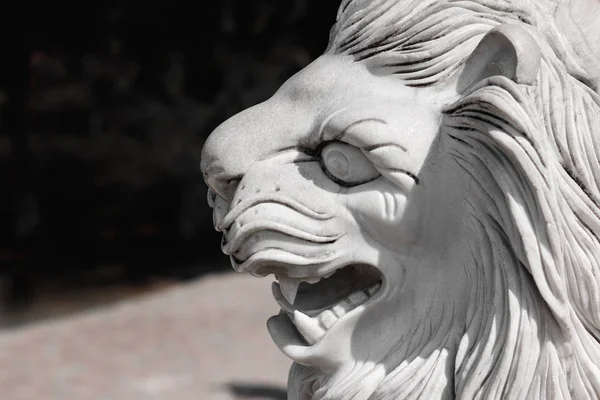 Escultura León Blanco Cabeza — Foto de Stock