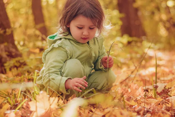 A child in a tracksuit sits and plays merrily with yellow leaves in the forest, open air, day, portrait — Stock Photo, Image