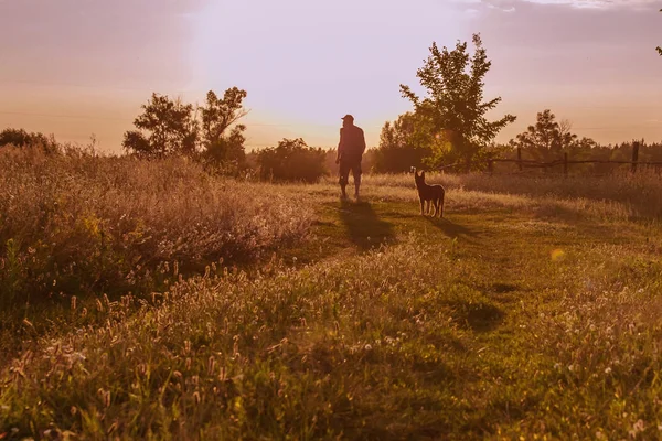 Silhueta de um homem e um cachorro de raça pura ao pôr do sol no prado — Fotografia de Stock