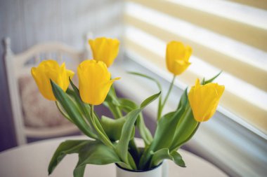 mutfak arka plan üzerinde taze Sarı laleler