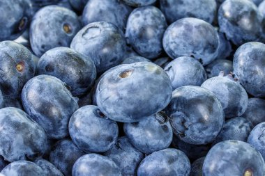 Taze yaban mersini arkaplanı. Doku yaban mersini yakından geliyor.