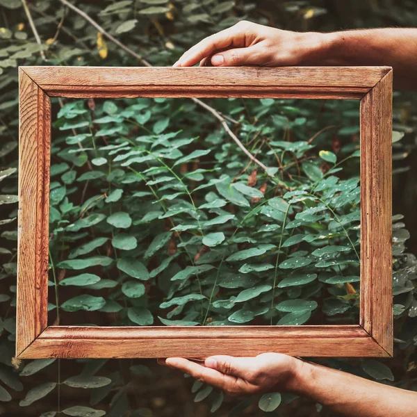 Two hands cut wooden brown frame in the foliage, green background, flat lay, daylight