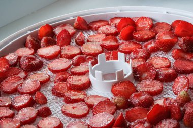 Fresh strawberry slices are laid out in trays for subsequent drying in a dehydrator, close-up clipart