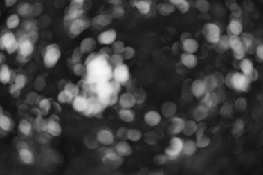 Siyah ve beyaz bulanık bokeh ışıkları arka plan