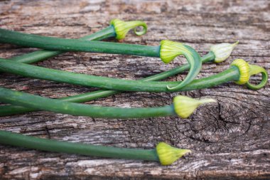 Ahşap arka planda genç taze oklar. yakın plan