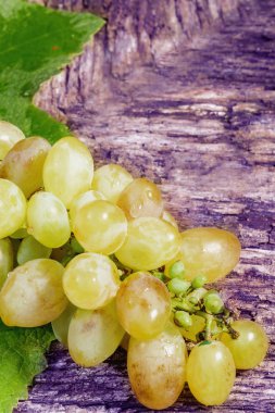 üzerinde Yeşil üzüm demet ahşap arka plan, gıda portre