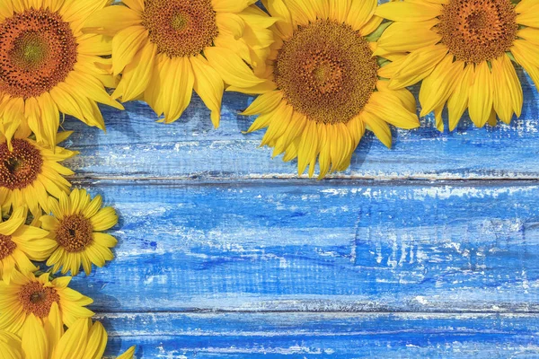 Herfst Achtergrond Met Zonnebloemen Houten Bord Gele Verse Zonnebloemen Rustieke — Stockfoto