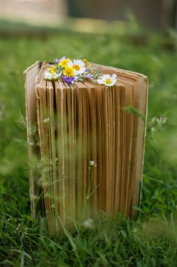 Çayırda sayfalarca çiçek yetişen eski bir ciltli kitap.
