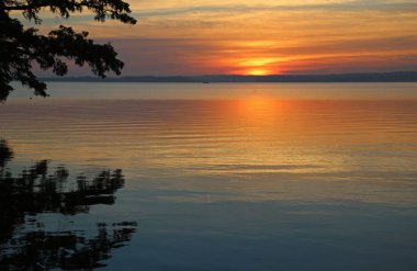 Yanan sunrise - Reelfoot Gölü State Park, Tennessee