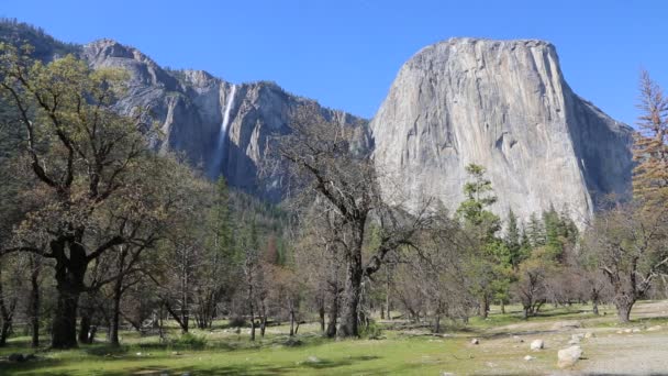 Ribbon Fall Capitan Yosemite National Park California — Stock Video