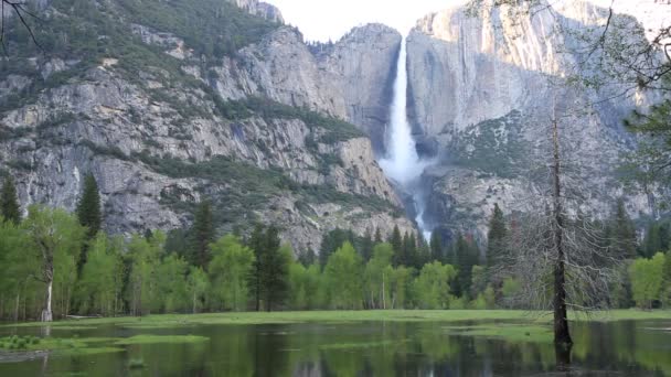 Ποταμός Merced Και Yosemite Falls Εθνικό Πάρκο Γιοσέμιτι Καλιφόρνια — Αρχείο Βίντεο