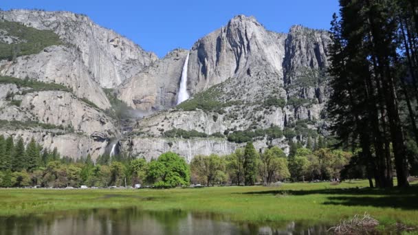 Prado Cook Parque Nacional Yosemite Califórnia — Vídeo de Stock