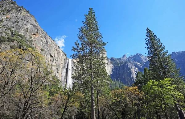 Dois Pinheiros Cachoeira Parque Nacional Yosemite Califórnia — Fotografia de Stock