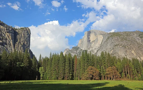 Grama Árvores Rochas Parque Nacional Yosemite Califórnia — Fotografia de Stock