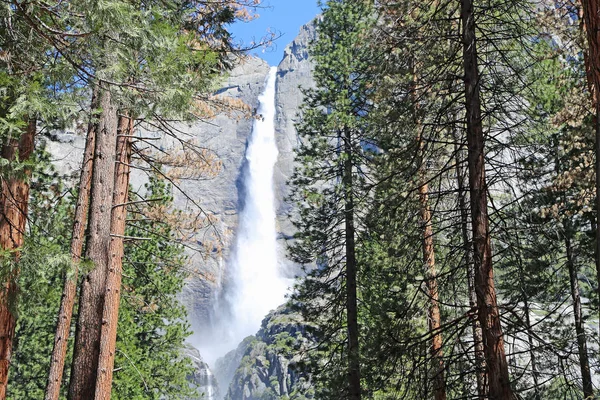 Waterfall Trees Yosemite National Park California — Stock Photo, Image