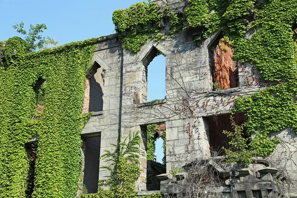 Weed covered wall of Smallpox Hospital - Roosevelt Island, New York City, New York