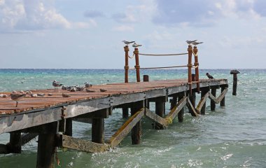 Kuşlar pier - Riviera Maya, Meksika