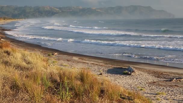 Waihi Beach Bay Bowentown Nueva Zelanda — Vídeo de stock