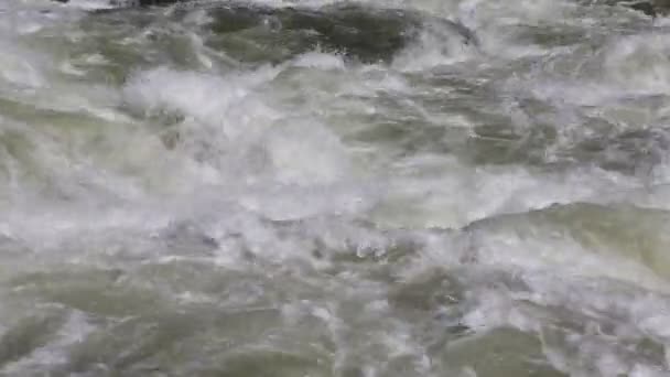 Marosi Merced River California — Video Stock