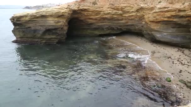 Klippan Och Stranden Sunset Cliffs Natural Park Kan Diego California — Stockvideo